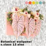 Botanical aino c.class 13 PPK