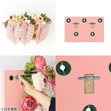 Botanical aino c.class 13 PPK