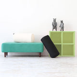 interior cushion 帆布 18R×40 WH