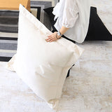 interior cushion 帆布 tera WH