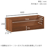 WallBox7-ST C-600 BR