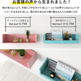 WallBox7-ST C-900 PPK