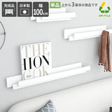 SPS WallHangerRack 1000 nail