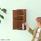 WB-DXミラー H six 薄型 BR