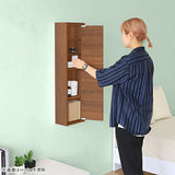 WB-DXミラー H nine 薄型 BR