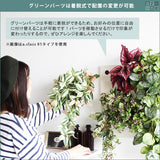 アートパネル 光触媒 観葉植物 | Botanical c.class 06