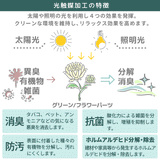 光触媒 人工観葉植物 壁掛けフェイクグリーン | Botanical s.class 21