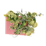 光触媒 壁掛け インテリアグリーン | Botanical aino c.class 01