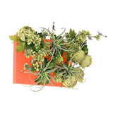 光触媒 壁掛け インテリアグリーン | Botanical aino c.class 01