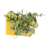 光触媒 壁掛け インテリアグリーン | Botanical aino c.class 01