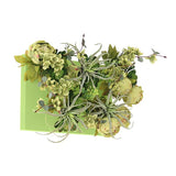 光触媒 壁掛け インテリアグリーン | Botanical aino c.class 01