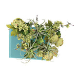 光触媒 壁掛け インテリアグリーン | Botanical aino c.class 01