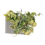 光触媒 壁掛け インテリアグリーン | Botanical aino c.class 01