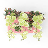 光触媒 造花 店舗 | Botanical aino c.class 02