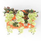 光触媒 造花 店舗 | Botanical aino c.class 02