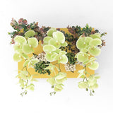 光触媒 造花 店舗 | Botanical aino c.class 02