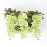 光触媒 造花 店舗 | Botanical aino c.class 02