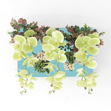 光触媒 造花 店舗 | Botanical aino c.class 02