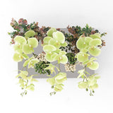 光触媒 造花 店舗 | Botanical aino c.class 02