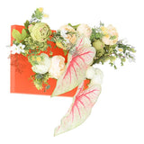 光触媒 壁面緑化 | Botanical aino c.class 03