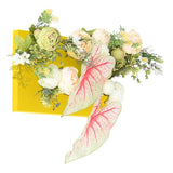 光触媒 壁面緑化 | Botanical aino c.class 03