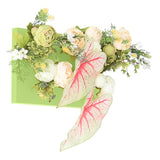 光触媒 壁面緑化 | Botanical aino c.class 03