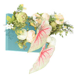 光触媒 壁面緑化 | Botanical aino c.class 03