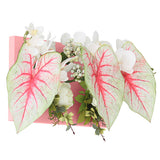 光触媒 壁面緑化 | Botanical aino c.class 05