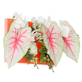 光触媒 壁面緑化 | Botanical aino c.class 05