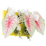 光触媒 壁面緑化 | Botanical aino c.class 05