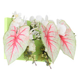 光触媒 壁面緑化 | Botanical aino c.class 05