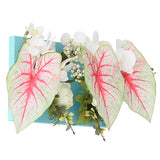 光触媒 壁面緑化 | Botanical aino c.class 05