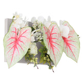 光触媒 壁面緑化 | Botanical aino c.class 05