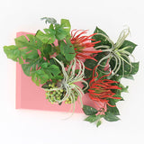 光触媒 フェイクグリーン | Botanical aino c.class 07