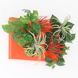 光触媒 フェイクグリーン | Botanical aino c.class 07