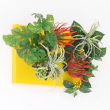 光触媒 フェイクグリーン | Botanical aino c.class 07