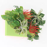 光触媒 フェイクグリーン | Botanical aino c.class 07