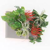 光触媒 フェイクグリーン | Botanical aino c.class 07