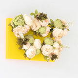 光触媒 ウォールグリーン | Botanical aino c.class 08