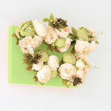 光触媒 ウォールグリーン | Botanical aino c.class 08