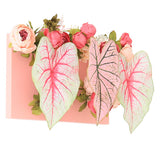 光触媒 造花 店舗 | Botanical aino c.class 12