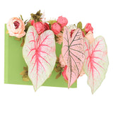 光触媒 造花 店舗 | Botanical aino c.class 12