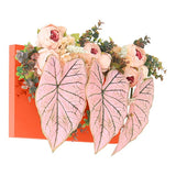 光触媒 人工観葉植物 | Botanical aino c.class 13