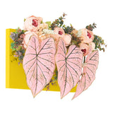 光触媒 人工観葉植物 | Botanical aino c.class 13