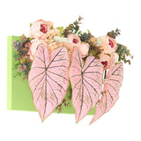 光触媒 人工観葉植物 | Botanical aino c.class 13