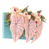 光触媒 人工観葉植物 | Botanical aino c.class 13