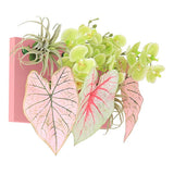 光触媒 壁掛け フェイクグリーン | Botanical aino c.class 14