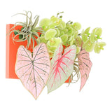 光触媒 壁掛け フェイクグリーン | Botanical aino c.class 14