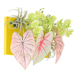 光触媒 壁掛け フェイクグリーン | Botanical aino c.class 14