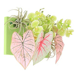 光触媒 壁掛け フェイクグリーン | Botanical aino c.class 14